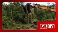 וינטר נכנס לכנסת – סמוטריץ' בחוץ | נחש ענק התגלה בעבודות תשתית • צפו