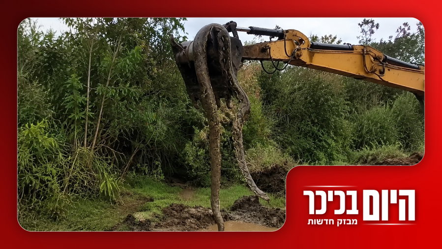 וינטר נכנס לכנסת – סמוטריץ' בחוץ | נחש ענק התגלה בעבודות תשתית • צפו