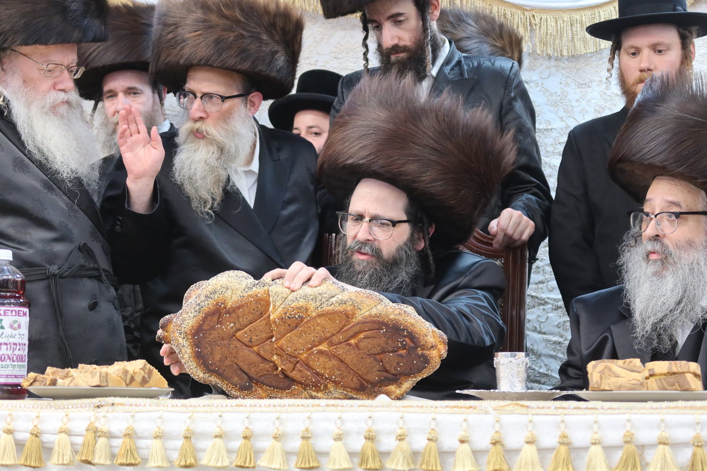  שמחת בית זוועהיל ארה"ב - מודז'יץ - האלמין