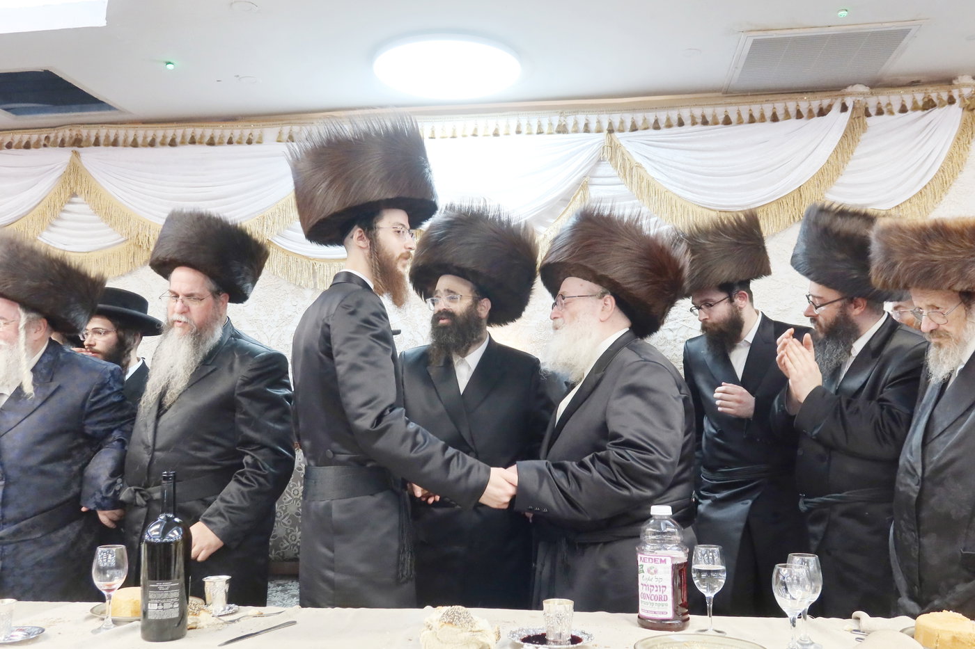  שמחת בית זוועהיל ארה"ב - מודז'יץ - האלמין