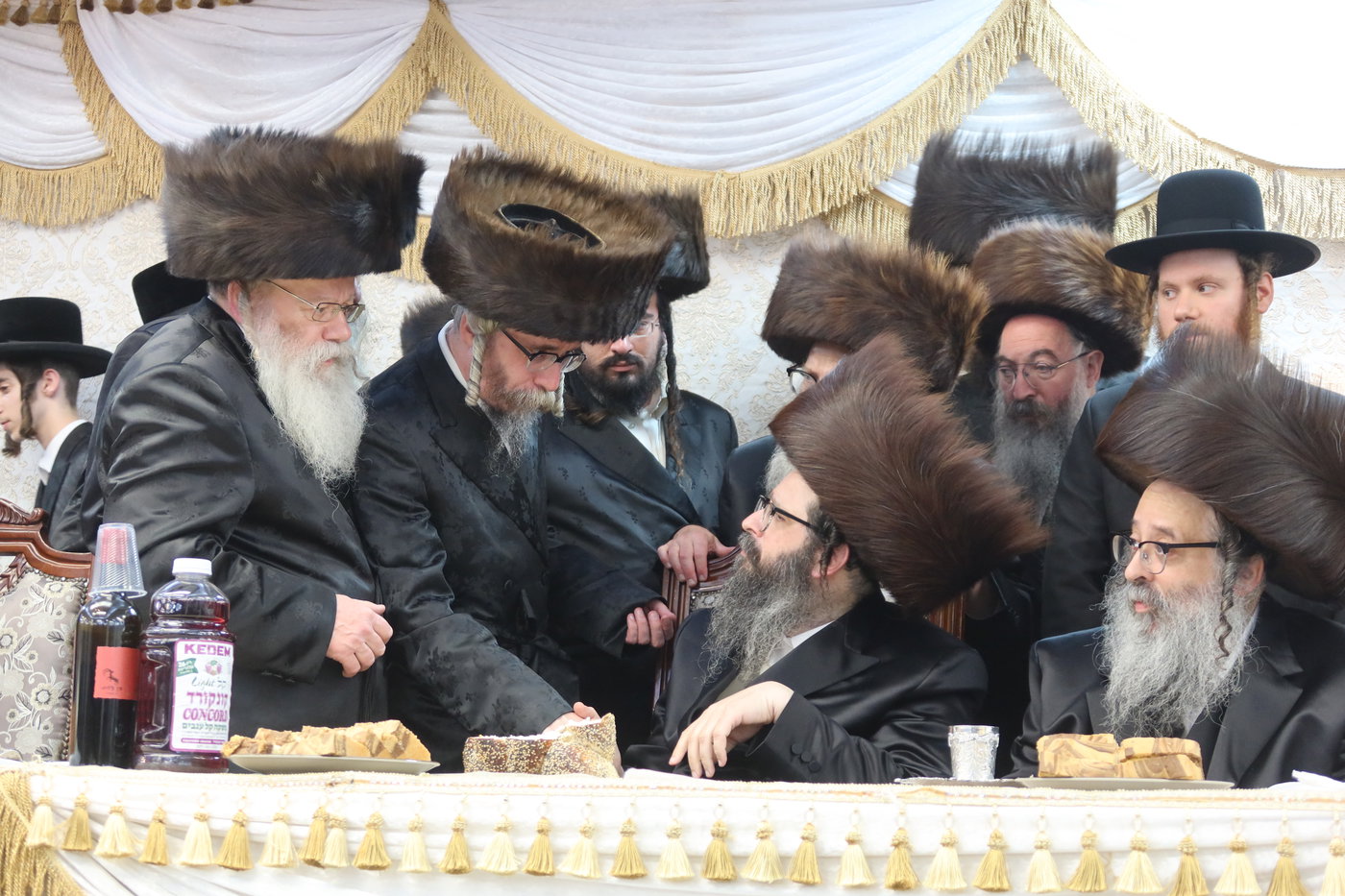  שמחת בית זוועהיל ארה"ב - מודז'יץ - האלמין
