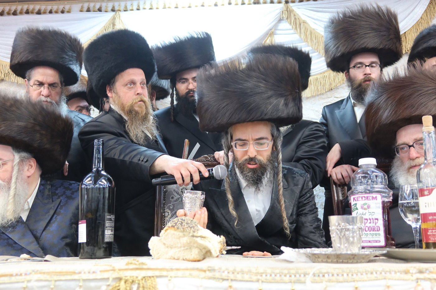  שמחת בית זוועהיל ארה"ב - מודז'יץ - האלמין