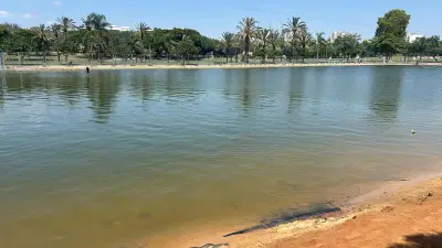 הילד שטבע באגם בתל אביב חולץ על ידי אזרחית; פונה תוך כדי החייאה