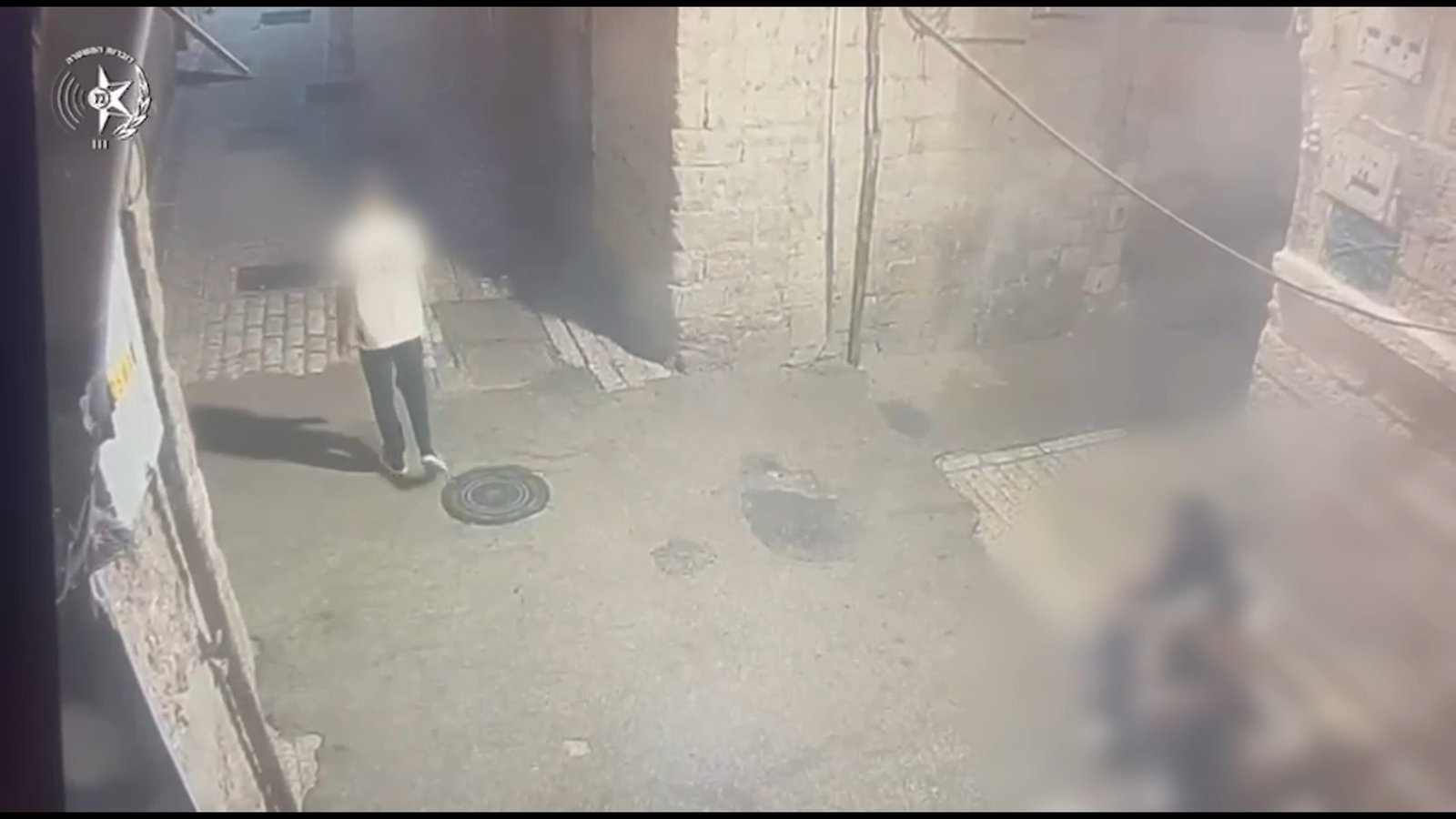 קטין בן 15 נעצר בעיר העתיקה לאחר שתועד בועט בחתולים | תיעוד מזוויע