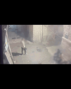  קטין בן 15 נעצר בעיר העתיקה לאחר שתועד בועט בחתולים | תיעוד מזוויע