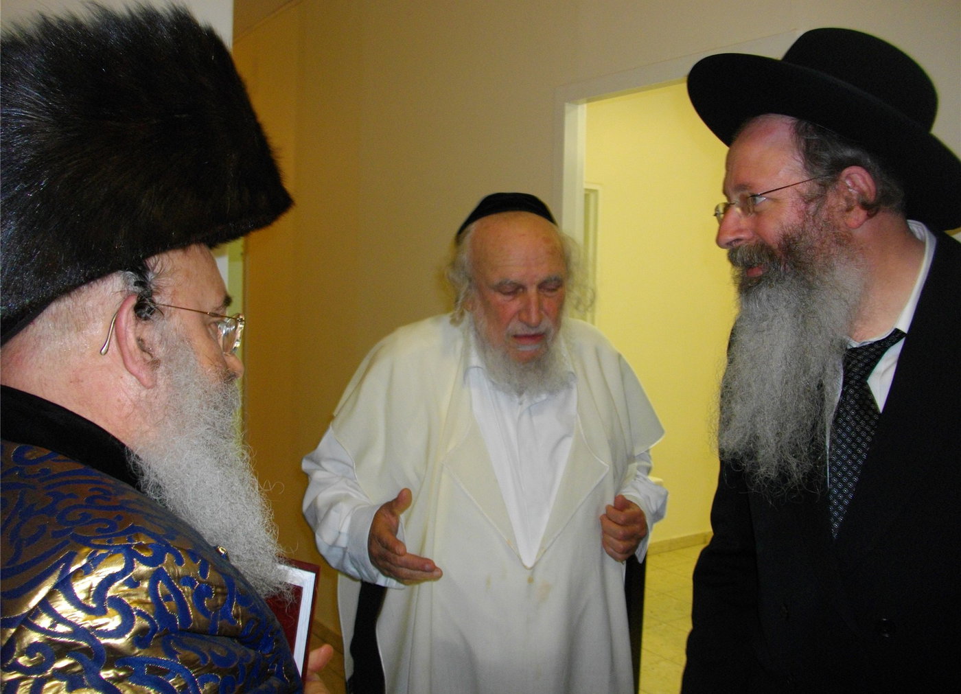 גדו"י מעיינים בספרו של האדמו"ר ממישקולץ