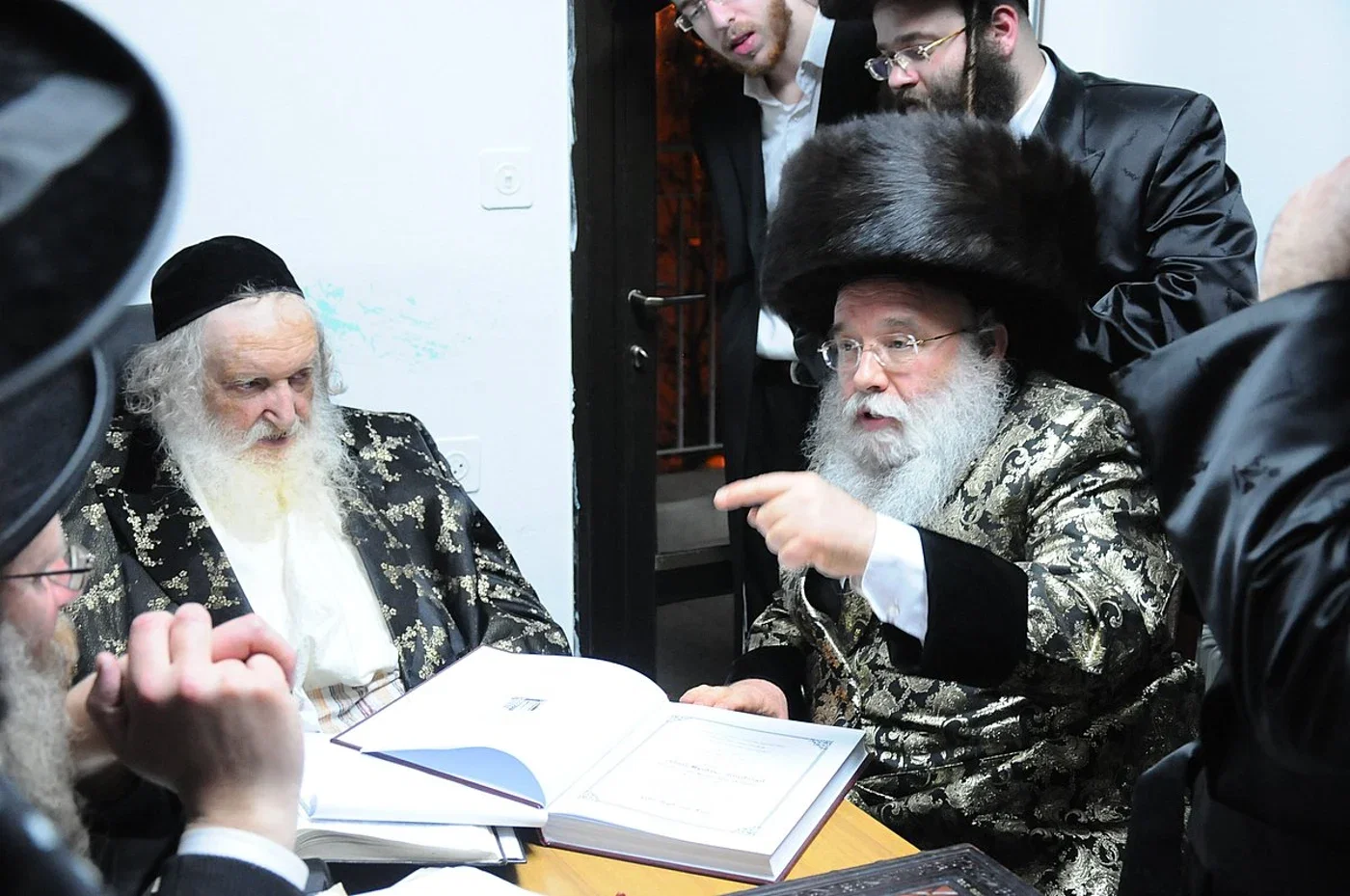 גדו"י מעיינים בספרו של האדמו"ר ממישקולץ