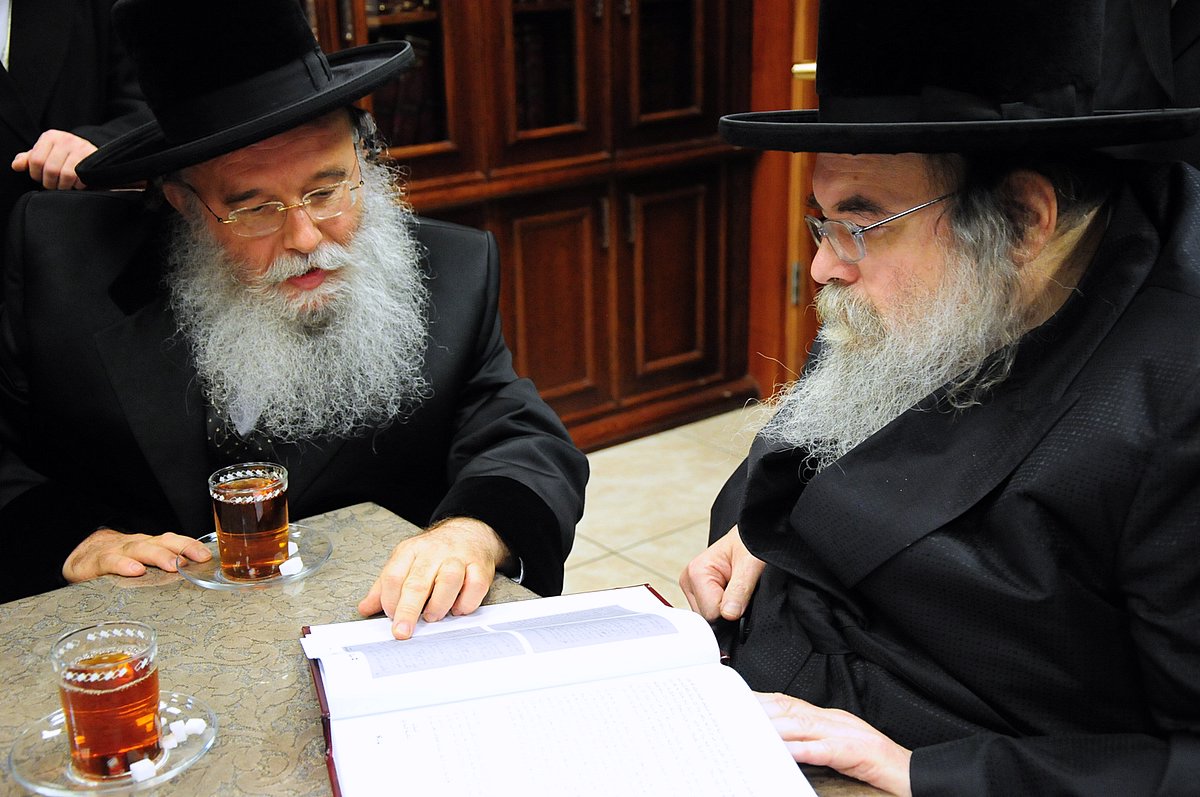 גדו"י מעיינים בספרו של האדמו"ר ממישקולץ