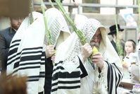 האדמו"ר מקרעטשניף י-ם בנענועים