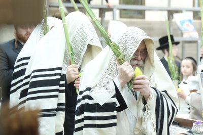 האדמו"ר מקרעטשניף י-ם בנענועים