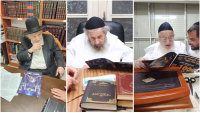 גדולי ישראל מצטרפים למיזם