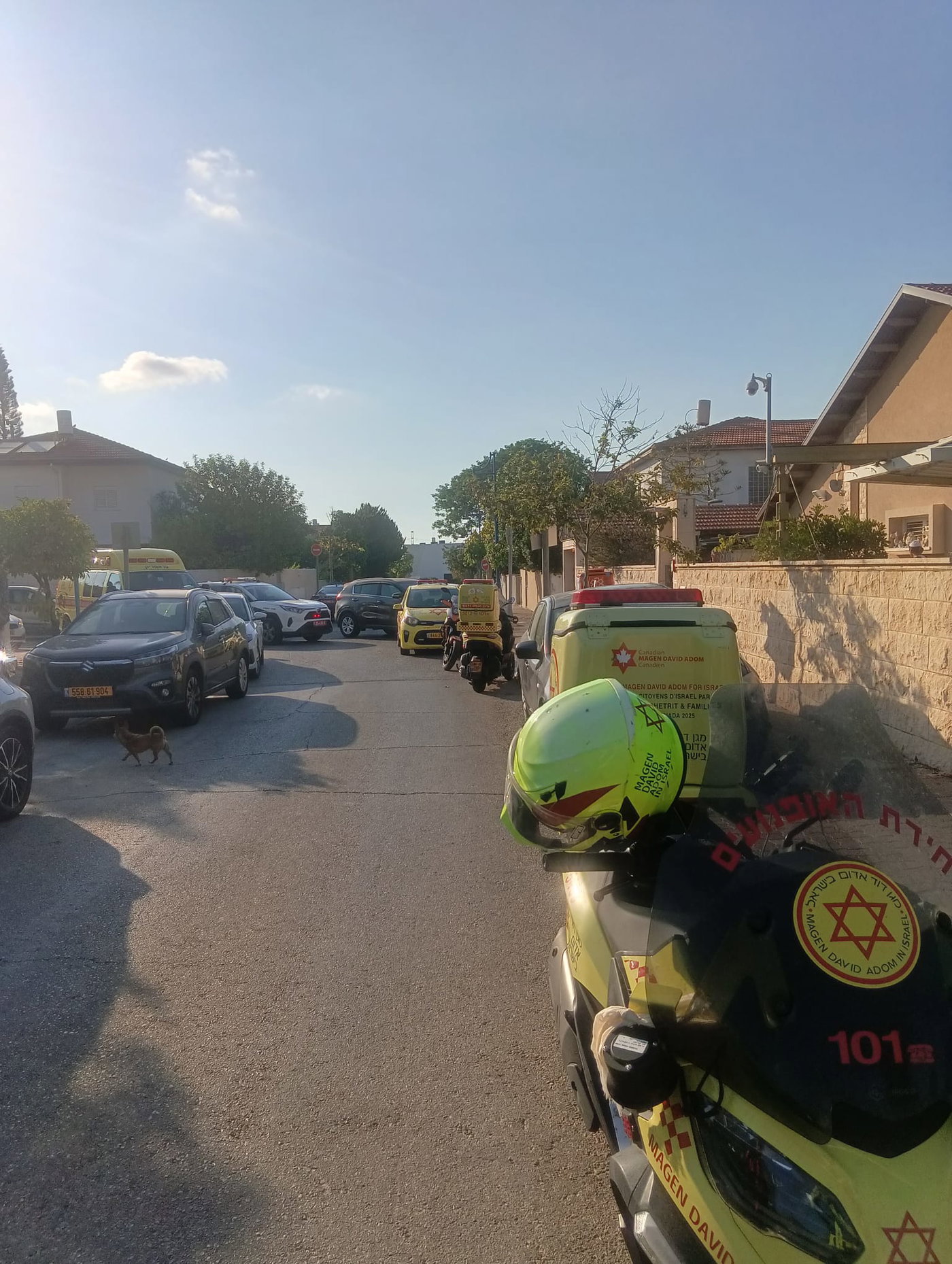 אירוע מחריד ביבנה: גבר אותר דקור ללא רוח חיים, "פציעות משמעותיות"