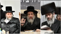 בני האדמו"ר מויז'ניץ