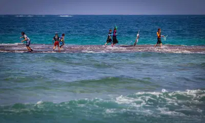 נחשף: חומרי הדברה רעילים בכמות גדולה הוטלו למים - מול החוף בדרום הארץ