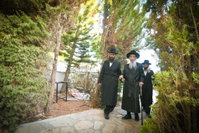 האדמו"ר מאלכסנדר בעמונאל
