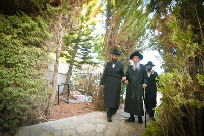 האדמו"ר מאלכסנדר בעמונאל
