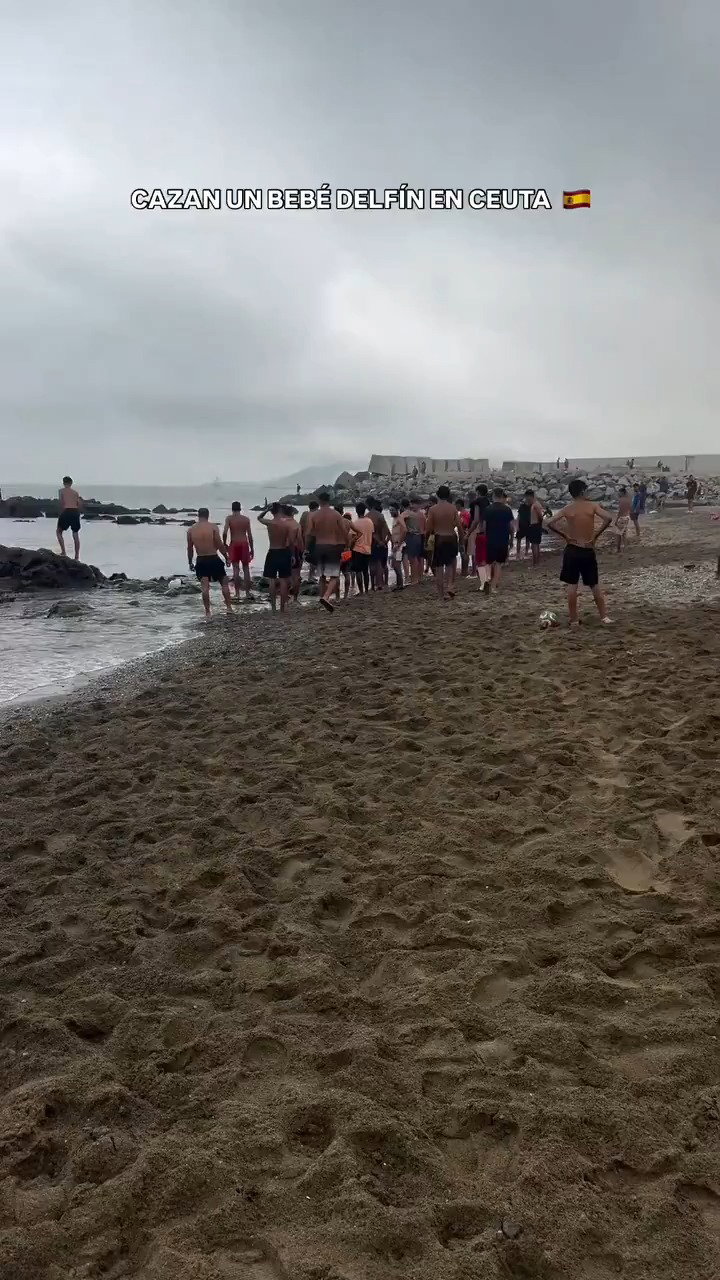 ביוב ללא גבולות: מהגרים צצו מתחת לרחוב ועוררו בהלה