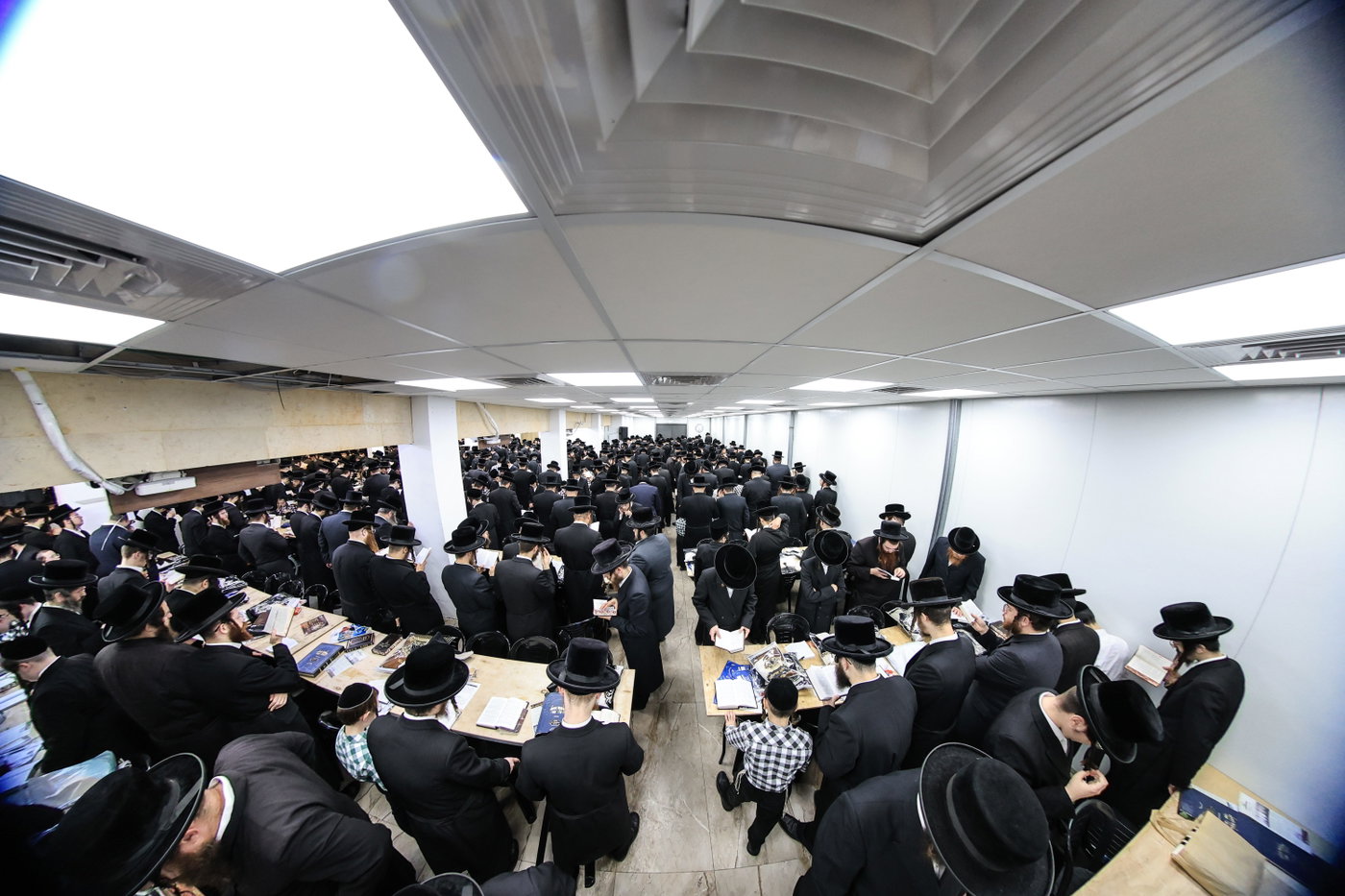 סליחות ראשונות בחצה"ק צאנז