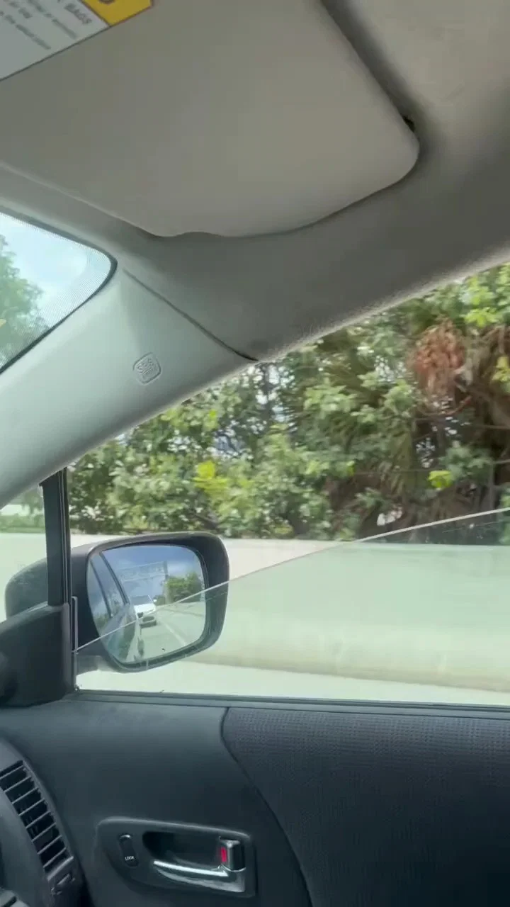 דרמה בשדה התעופה: מטוס מטען חרג ממסלולו ופגע בכלי רכב | צפו