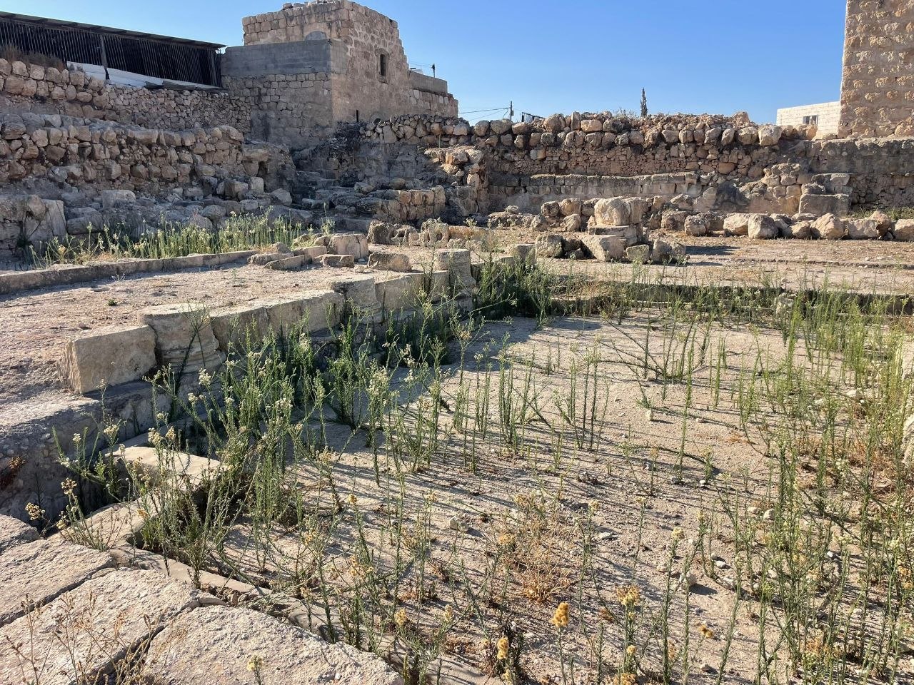 מנורה יהודית עתיקה במערת קבורה מפוארת ממערב לחברון