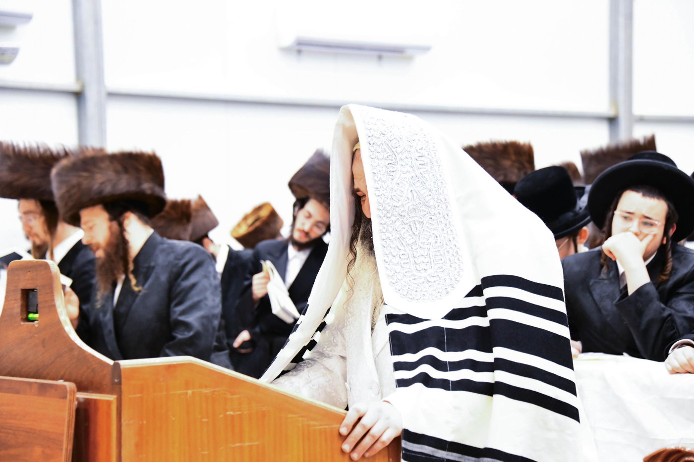 סליחות בחצה"ק זוטשקא