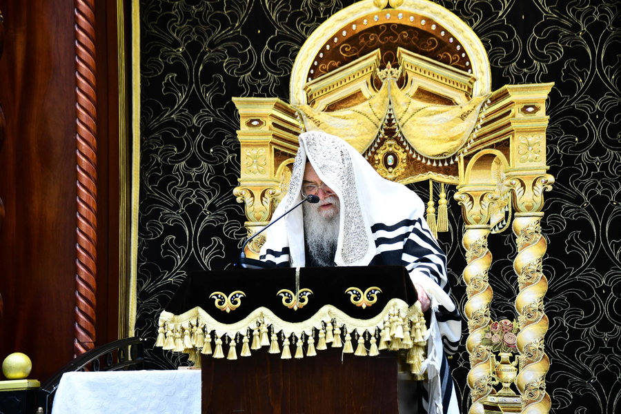 פרחי החסידים נעמדו על הגלריות | סליחות ראשונות בחצר הקודש דארג