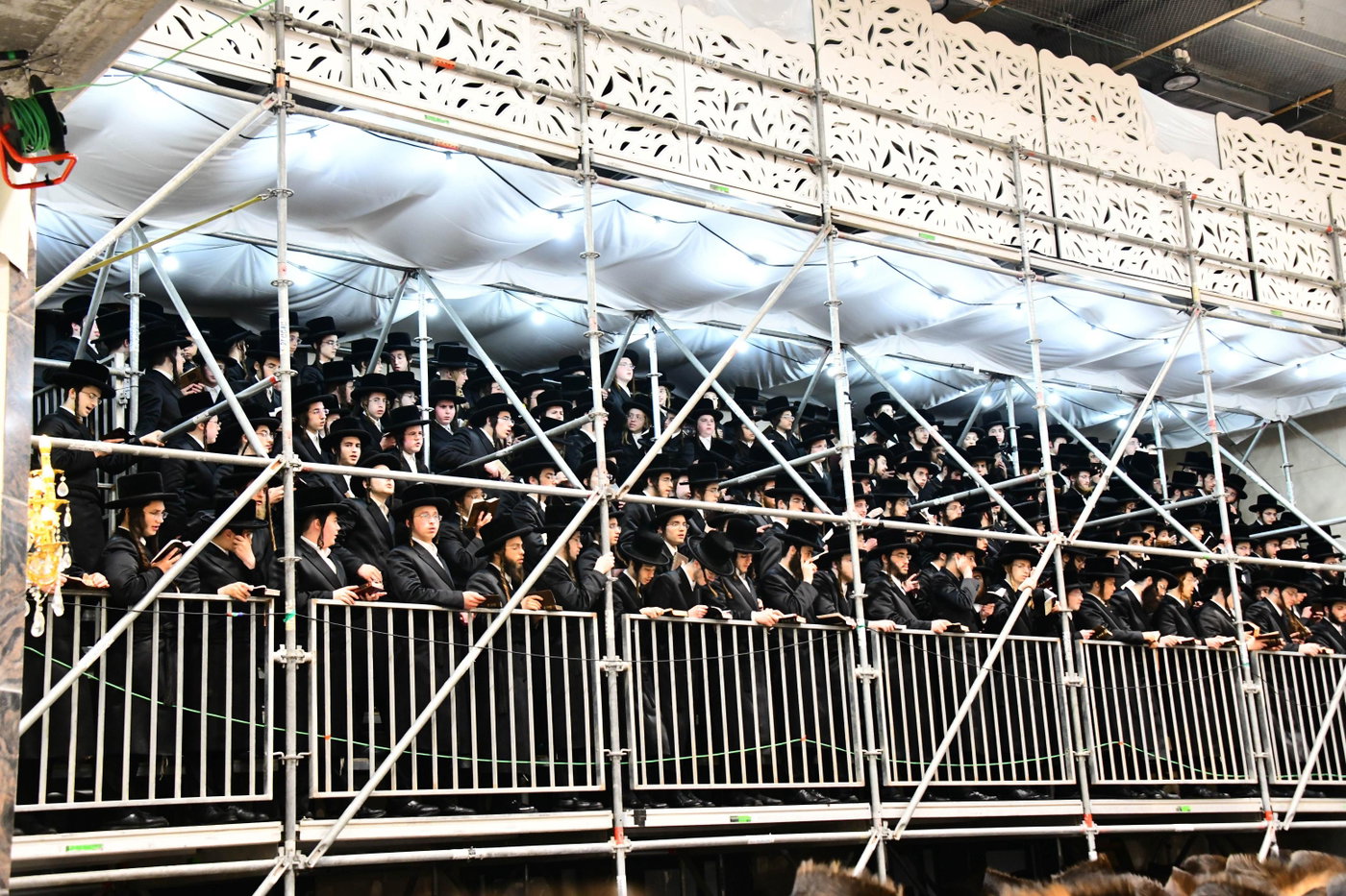 סליחות ראשונות בחצה"ק דארג