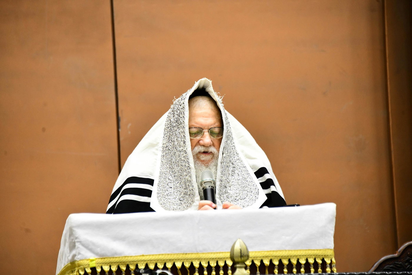 סליחות ראשונות בחצה"ק מודז'יץ