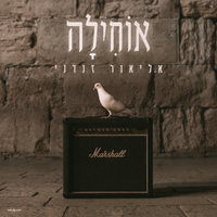 אליאור זנדני מפתיע בביצוע מיוחד: 'אוחילה לא-ל' בגרסה שמחברת בין פיוט עתיק לתהילים