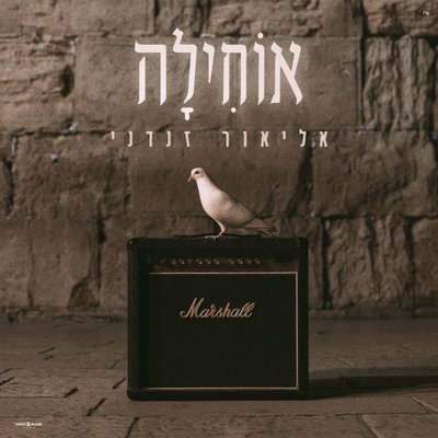 אליאור זנדני מפתיע בביצוע מיוחד: 'אוחילה לא-ל' בגרסה שמחברת בין פיוט עתיק לתהילים