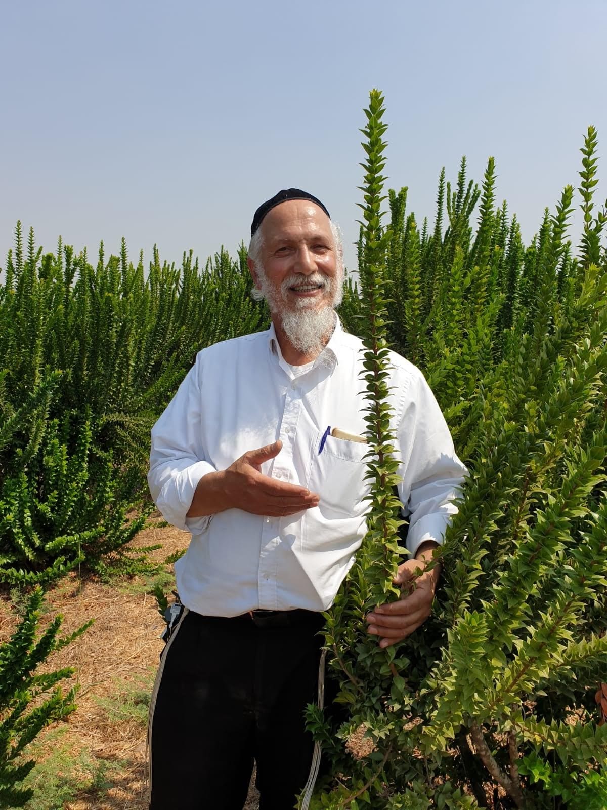 הרב אקטא עם ההדסים