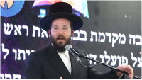 אליקים שטארק
