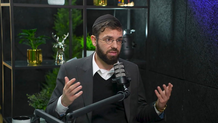 דולב דוידוביץ' בריאיון לאלי גוטהלף