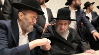 אחראי רענון הרשימות: מפגן התמיכה של המנהיג הליטאי הגר"ד לנדו במשה גפני