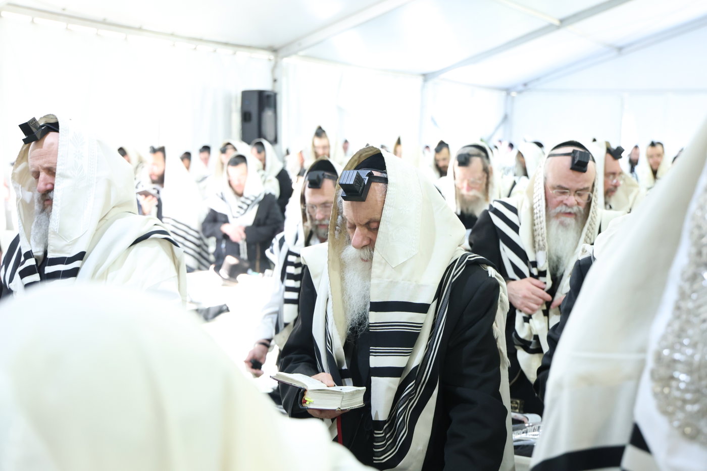האדמו"ר מדושינסקיא בחברון