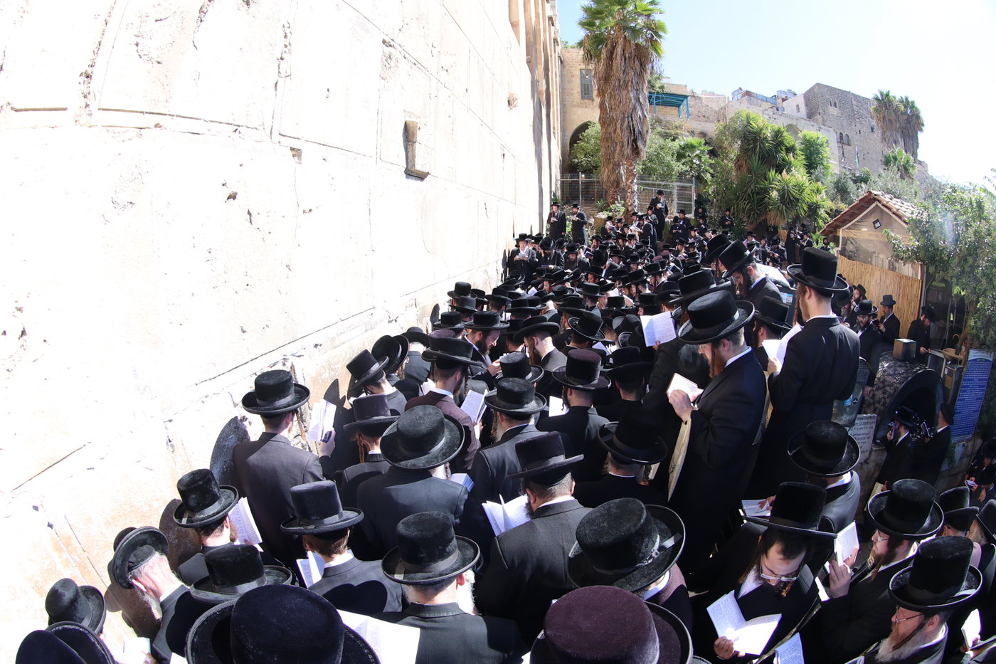 האדמו"ר מדושינסקיא בחברון
