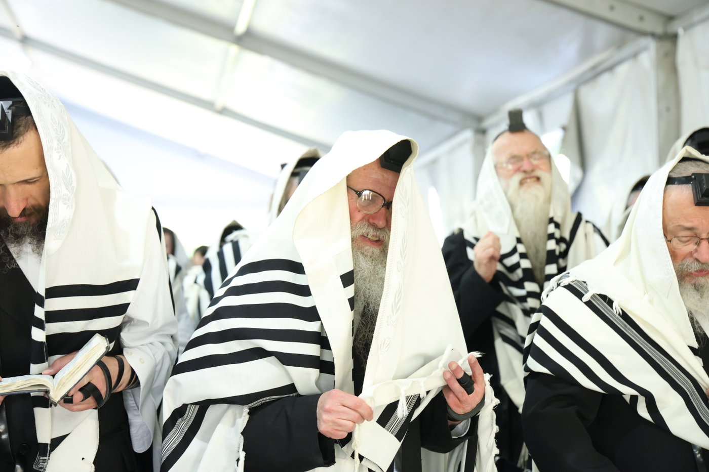 האדמו"ר מדושינסקיא בחברון