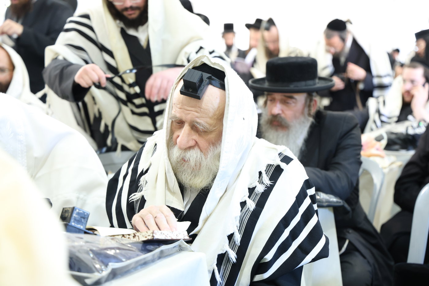 האדמו"ר מדושינסקיא בחברון