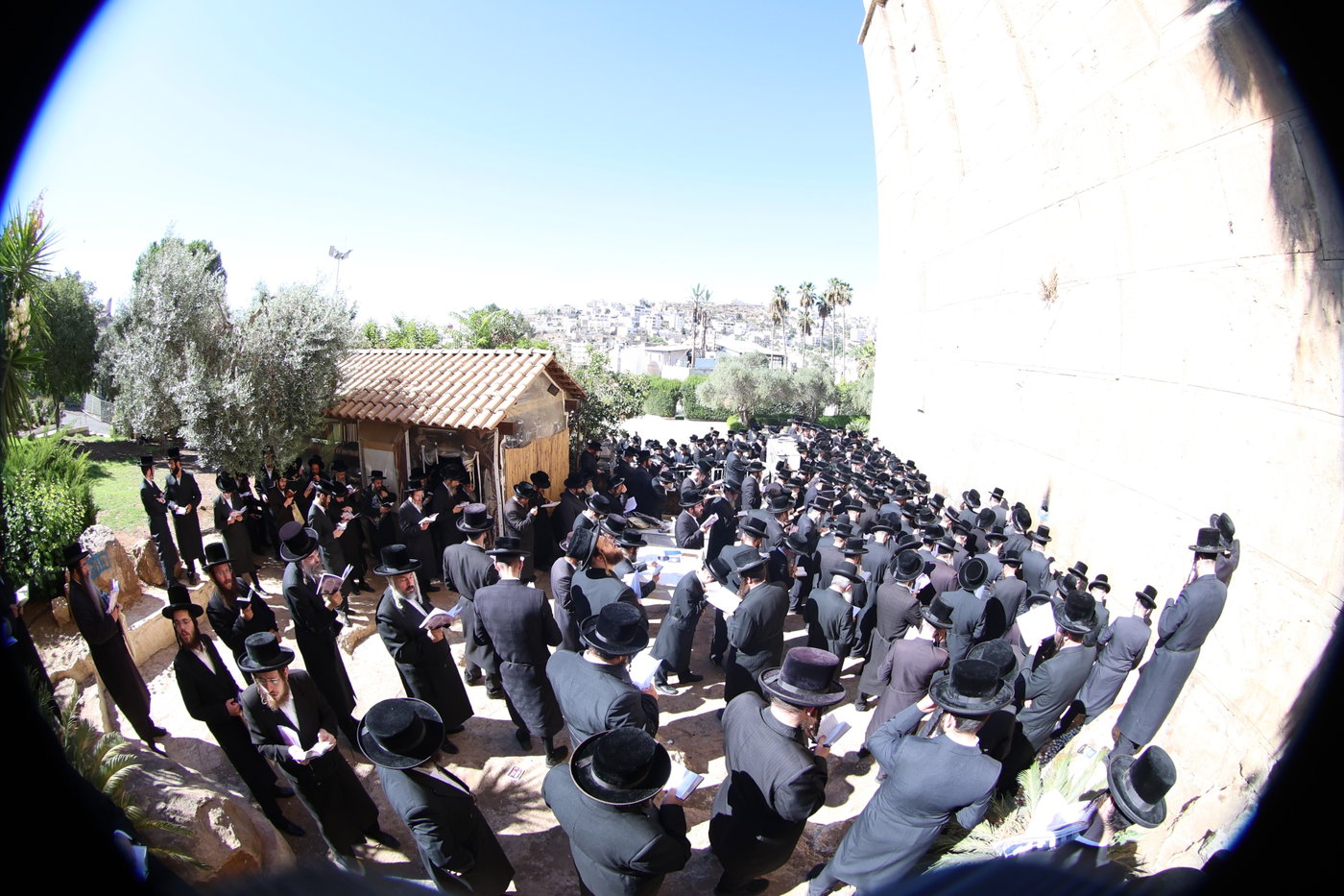 האדמו"ר מדושינסקיא בחברון