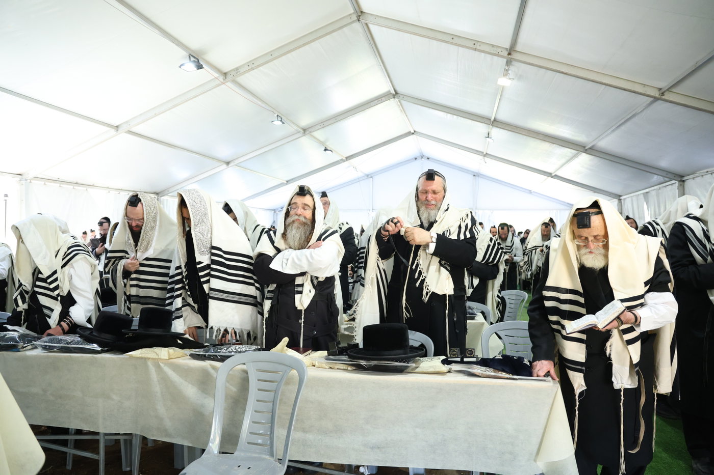 האדמו"ר מדושינסקיא בחברון