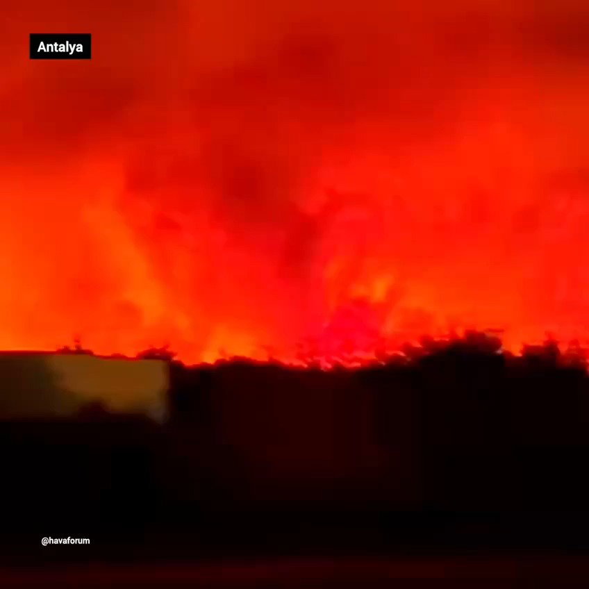 אש ענקית משתוללת בטורקיה: עשרות אלפי תיירים מחולצים