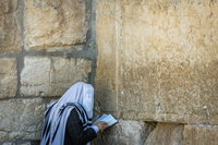 הכותל המערבי, השבוע
