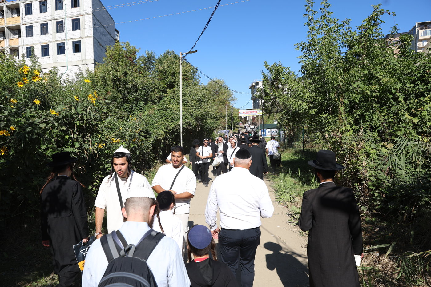 אומן ראש השנה תשפ"ז