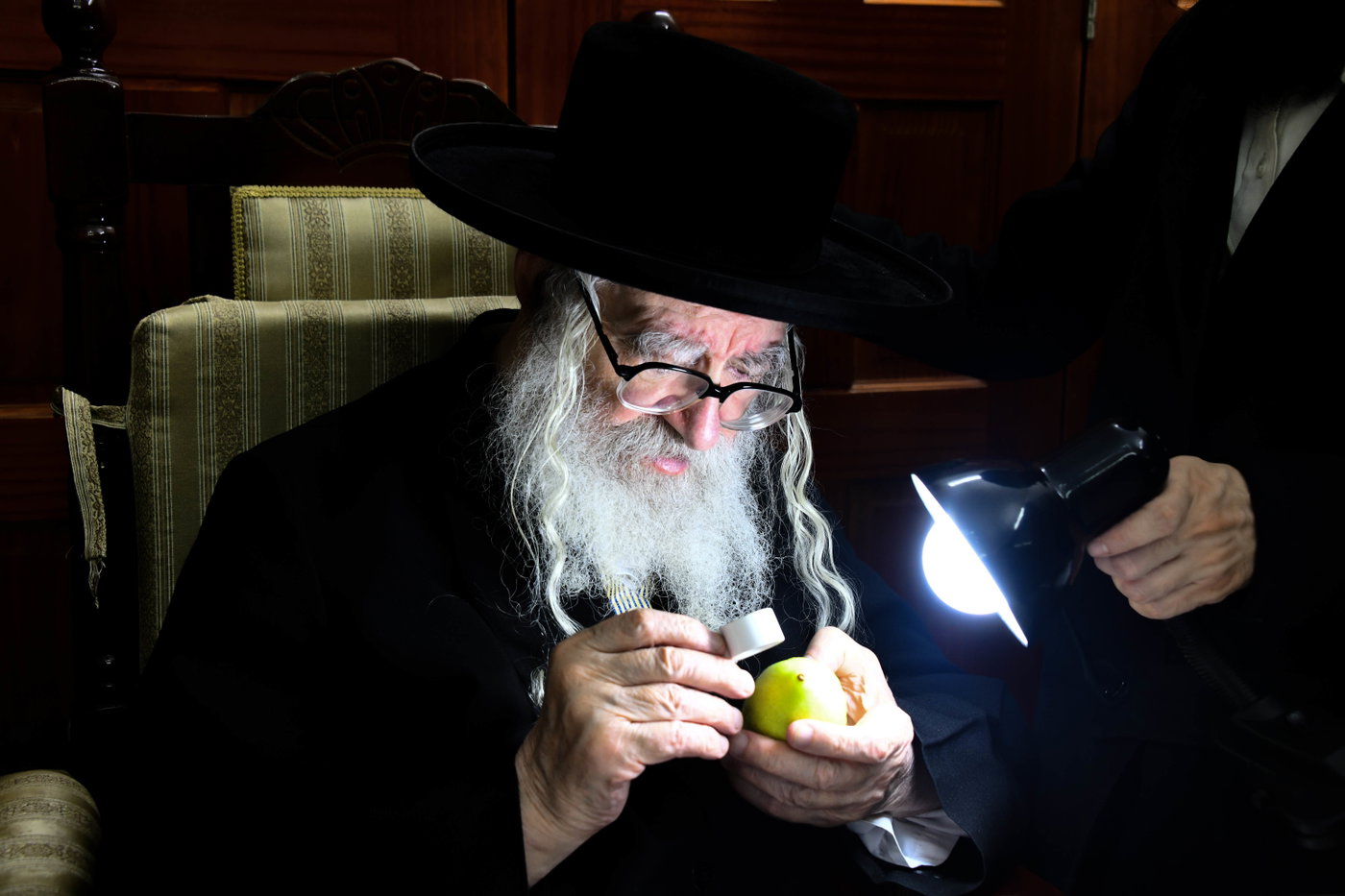 גדולי ישראל בקבלת אתרוגים לקראת חג הסוכות