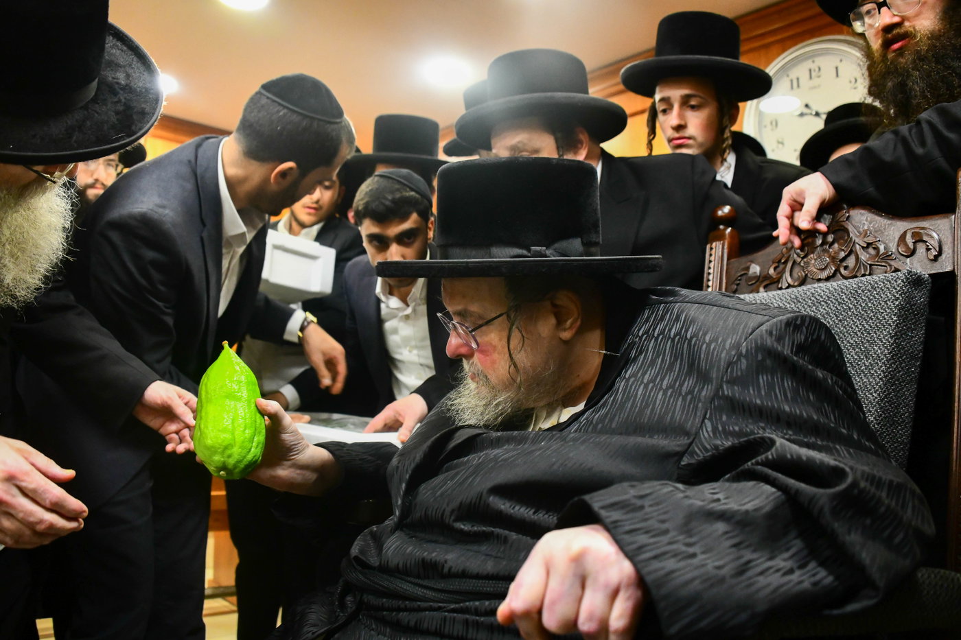 האדמו"ר מבעלזא בקבלת אתרוגים לקראת חג הסוכות