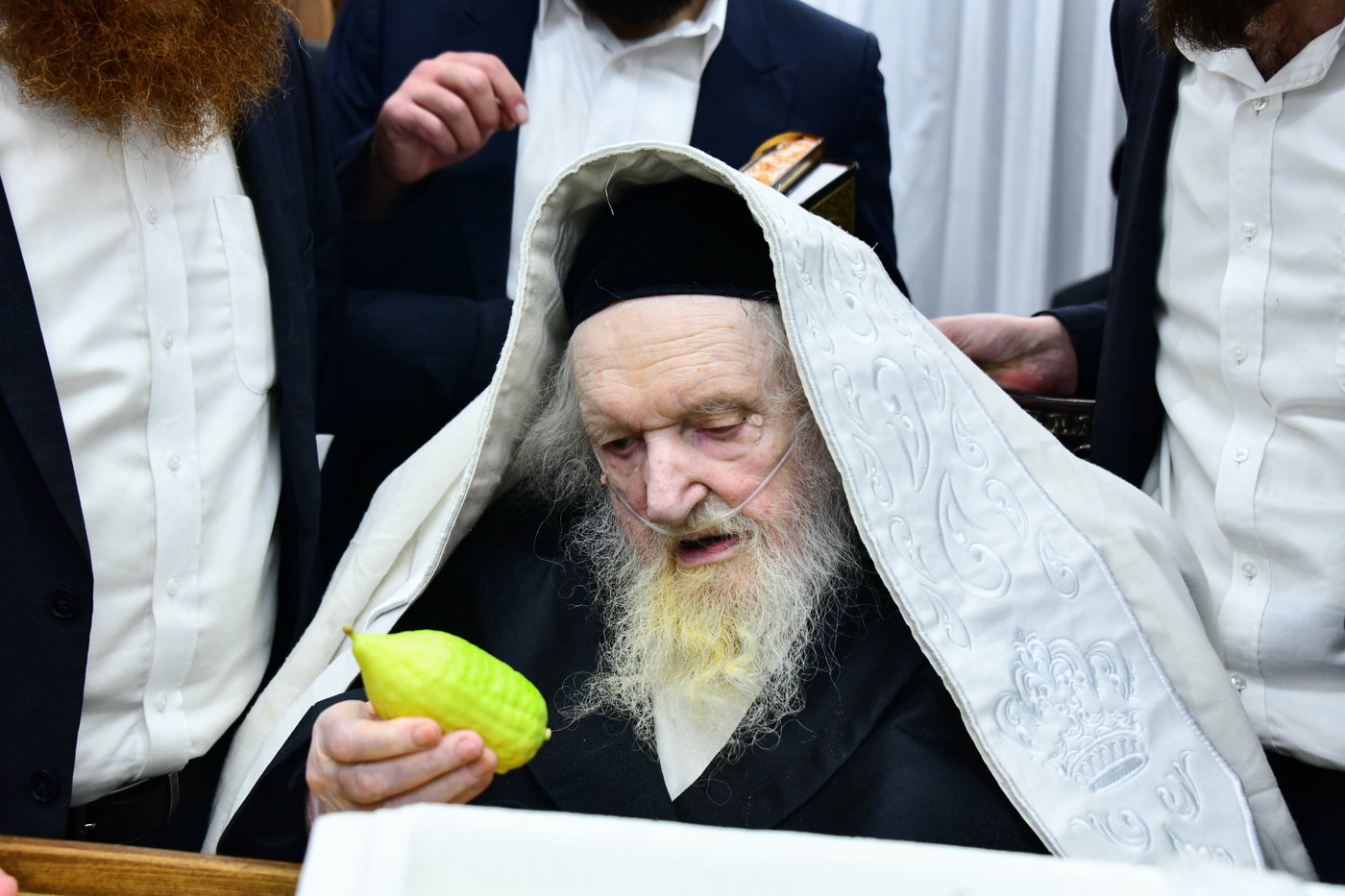 הגר"מ שטרנבוך בקבלת אתרוגים לקראת חג הסוכות