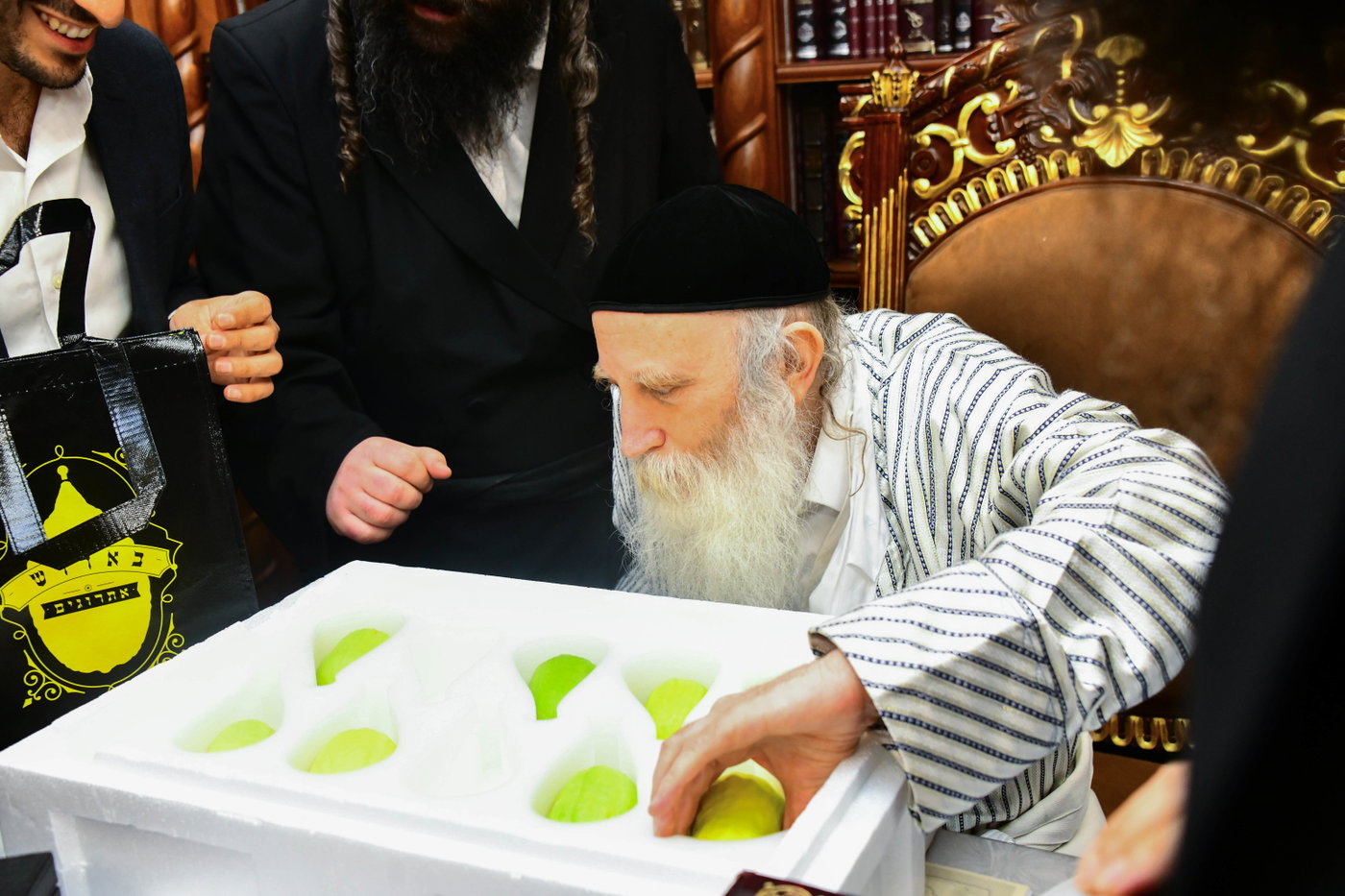 האדמו"ר מתורת חכם בקבלת אתרוגים לקראת חג הסוכות