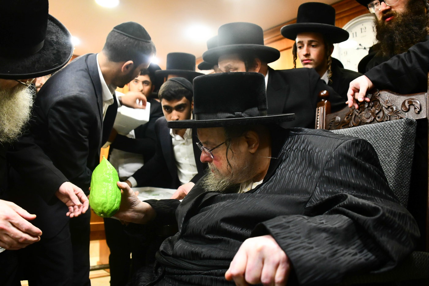 האדמו"ר מבעלזא בקבלת אתרוגים לקראת חג הסוכות