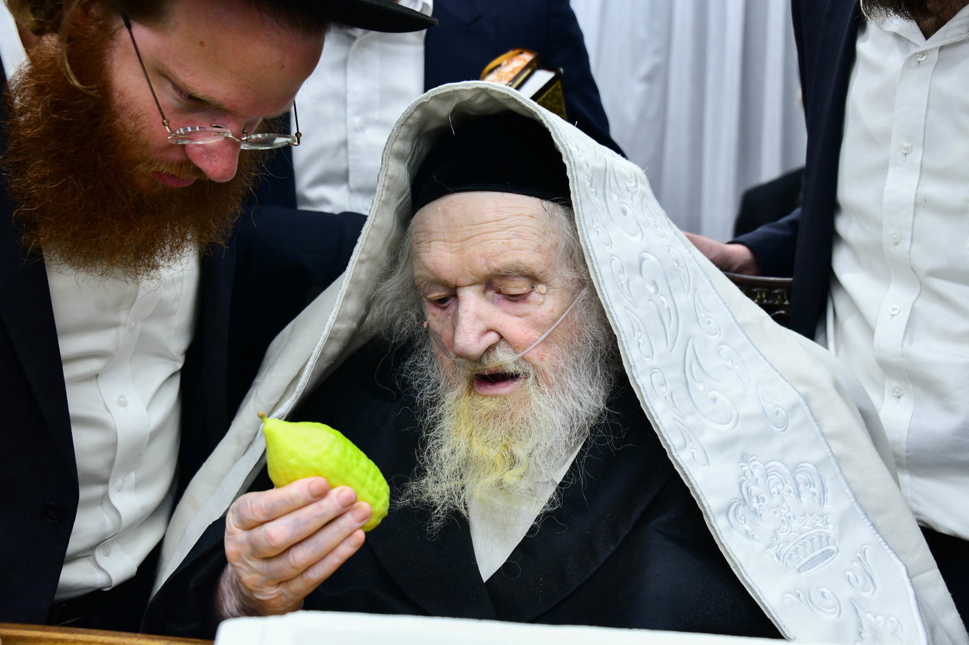 גדולי ישראל בקבלת אתרוגים לקראת חג הסוכות