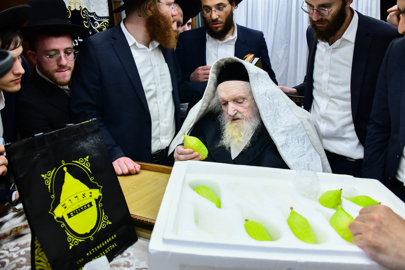 הגר"מ שטרנבוך בקבלת אתרוגים לקראת חג הסוכות